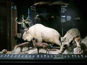 narodni muzeum praag 7-2023 9021